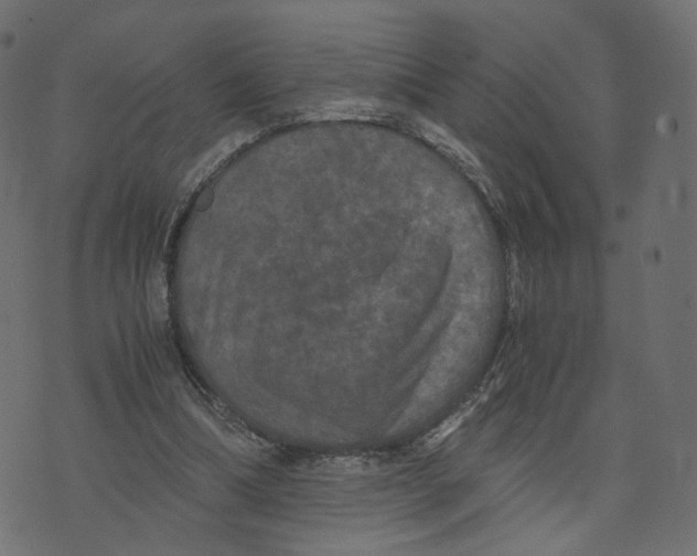 X0000073410298200608251532