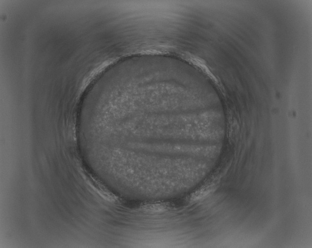 X0000073410299200608251532