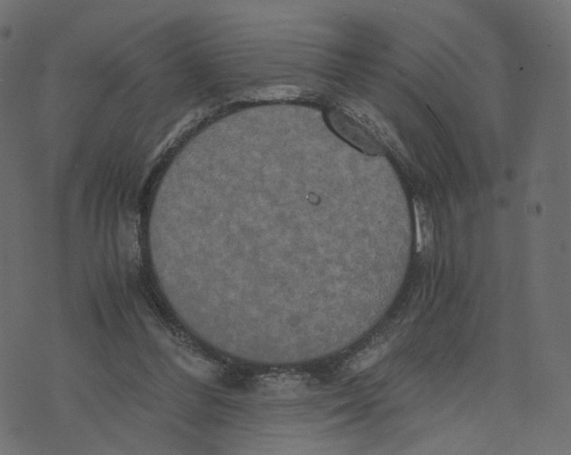 X0000073410300200608251532