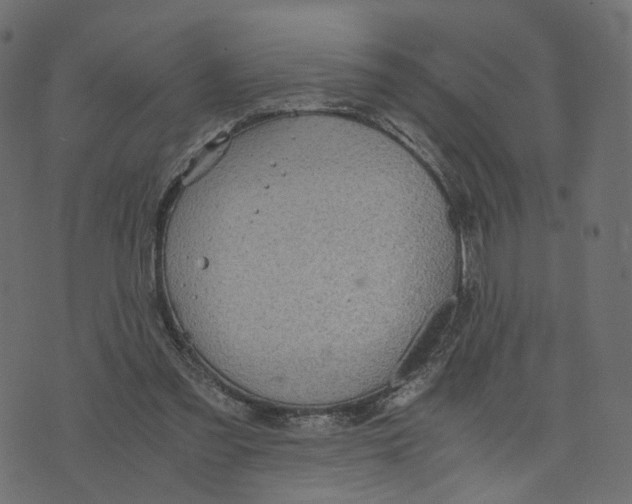 X0000073410301200608251532