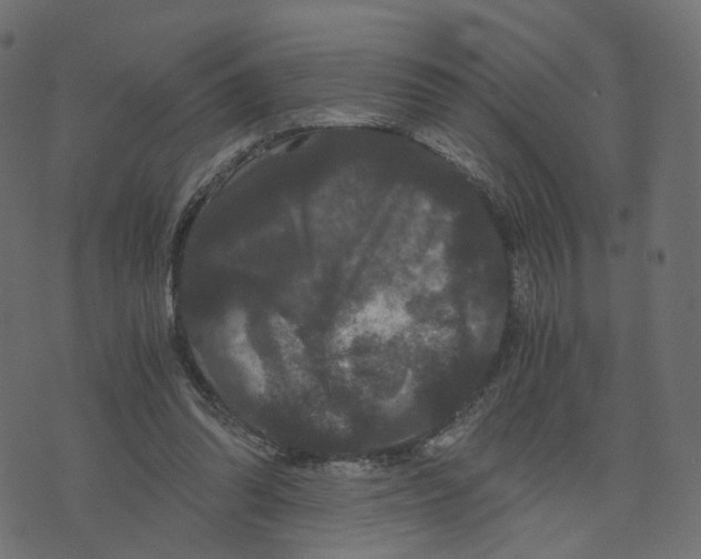 X0000073410302200608251532