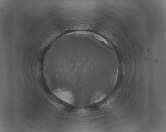 X0000073410303200608251532