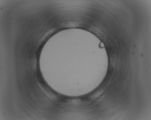 X0000073410304200608251532