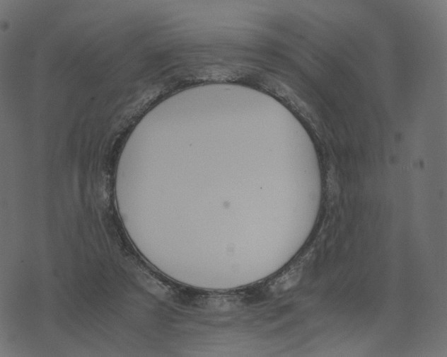 X0000073410305200608251532