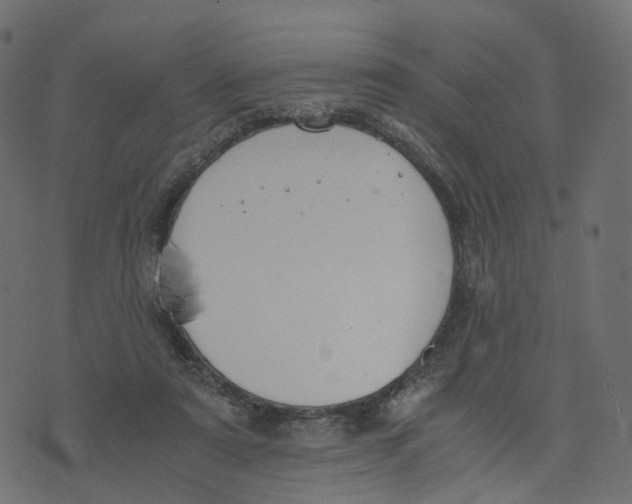 X0000073410307200608251532