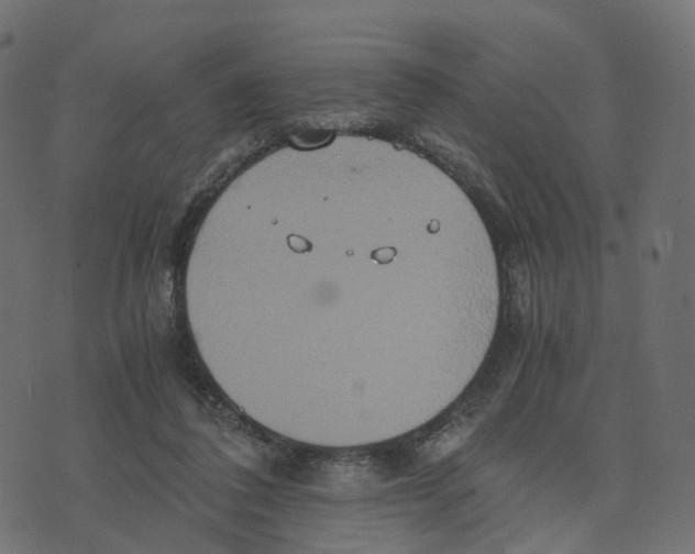 X0000073410308200608251531