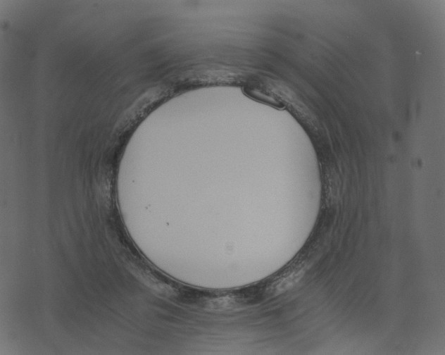 X0000073410309200608251531