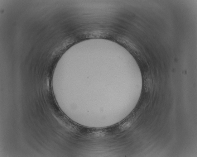 X0000073410310200608251531