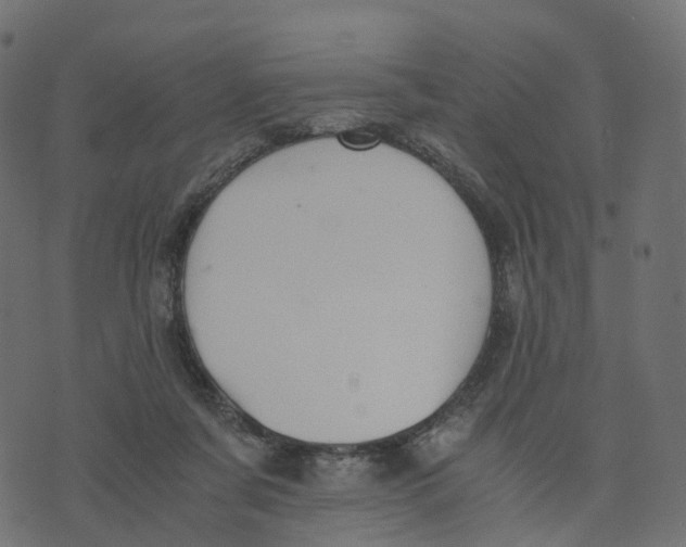 X0000073410311200608251531