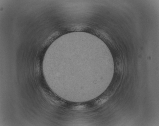 X0000073410312200608251531