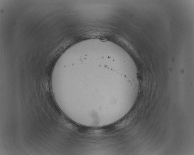 X0000073410313200608251531