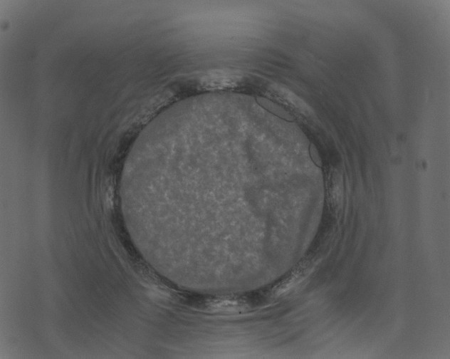 X0000073410315200608251531