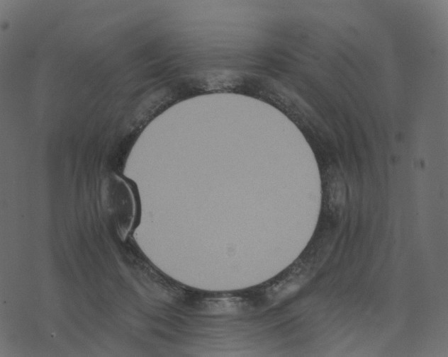 X0000073410316200608251531