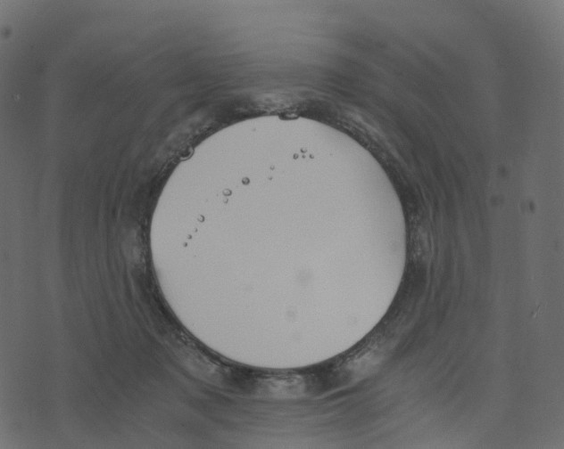 X0000073410317200608251531