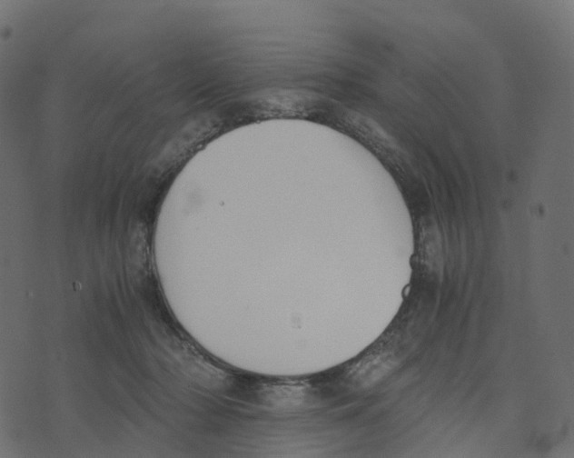 X0000073410318200608251531