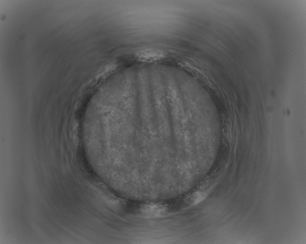 X0000073410319200608251531