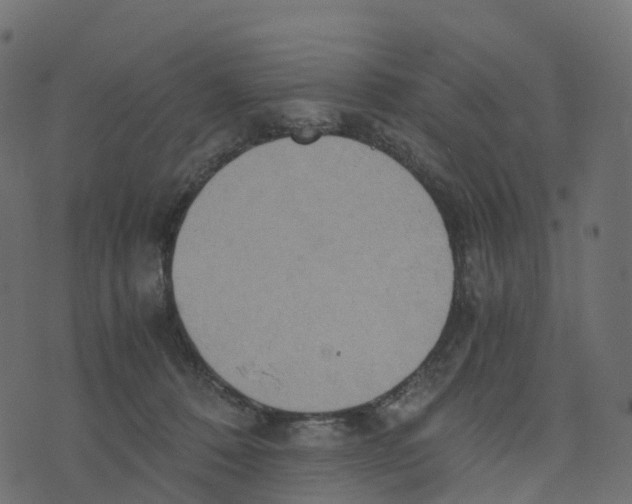 X0000073410320200608251531