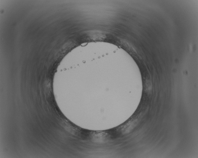 X0000073410321200608251531