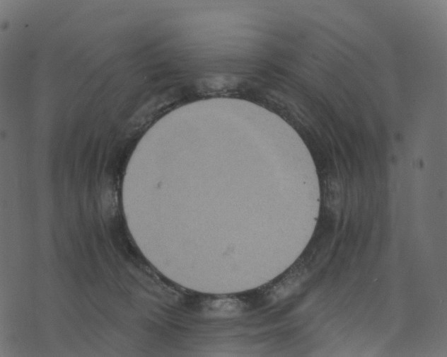 X0000073410324200608251531