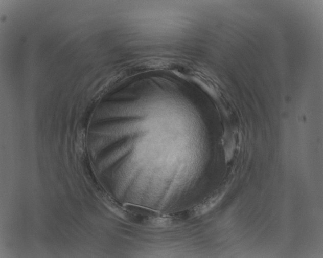 X0000073410325200608251531