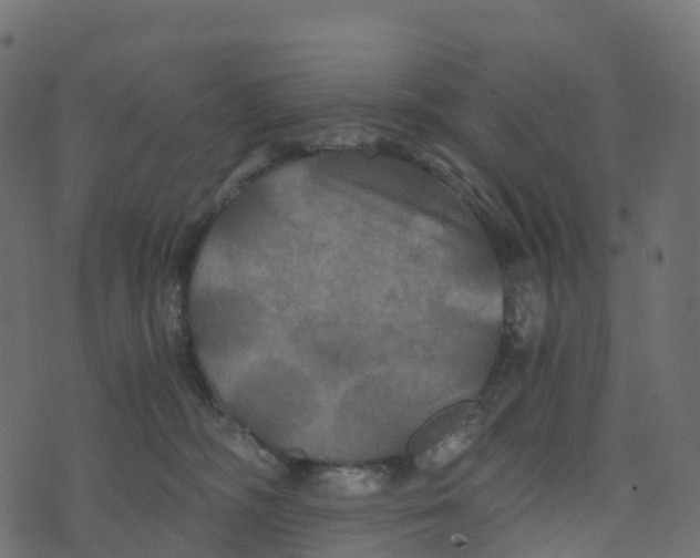 X0000073410326200608251531