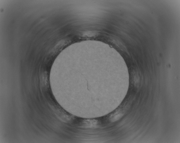 X0000073410328200608251531