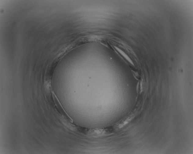 X0000073410329200608251531