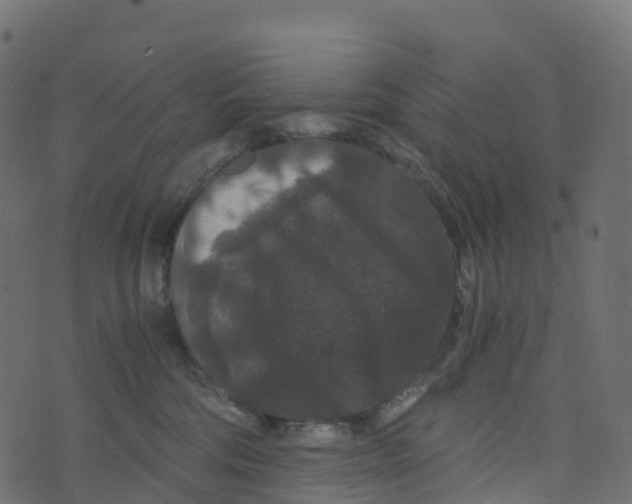 X0000073410330200608251531