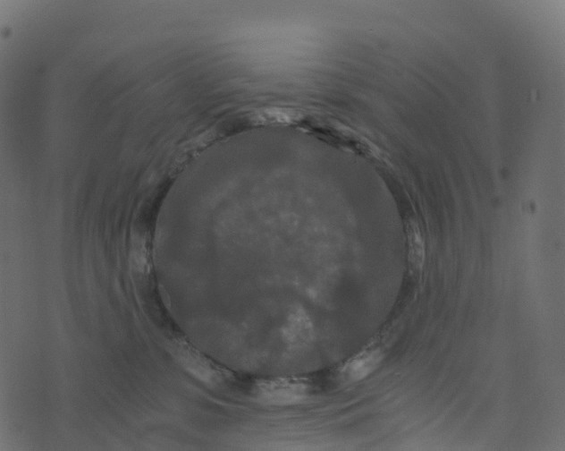 X0000073410331200608251531