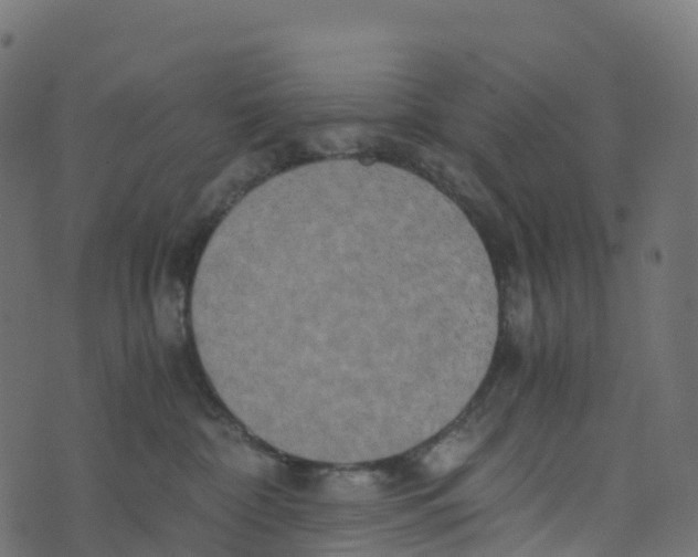 X0000073410332200608251531