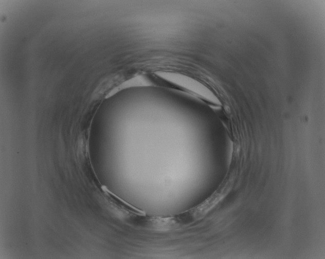 X0000073410333200608251531