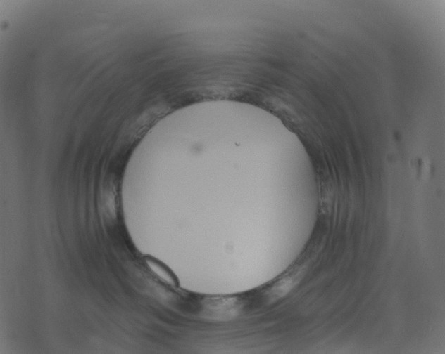 X0000073410334200608251531