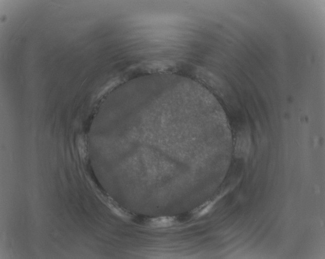 X0000073410335200608251531