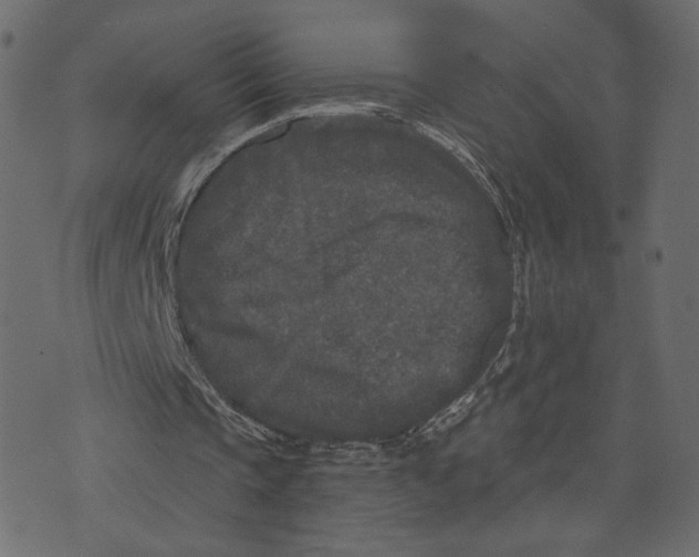 X0000073410337200608251530