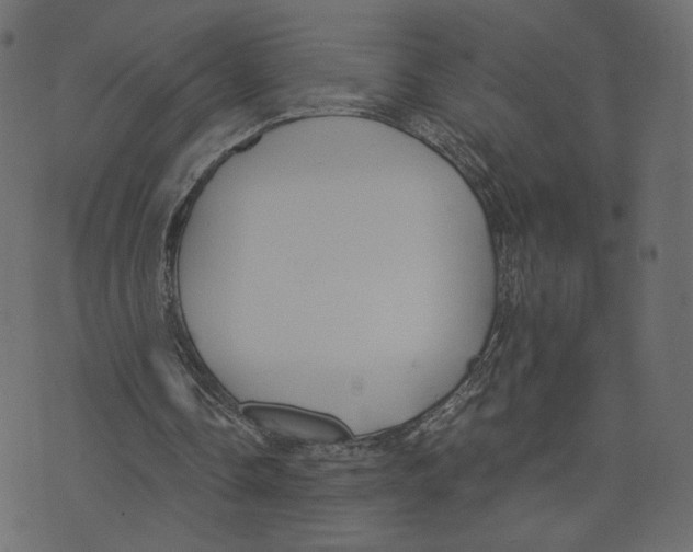 X0000073410338200608251530