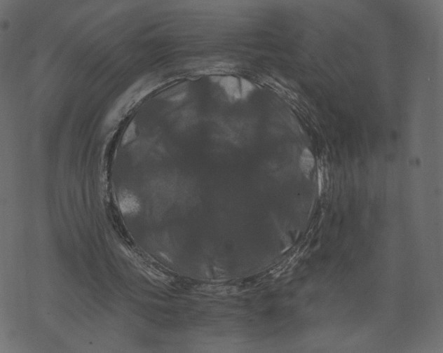 X0000073410339200608251530