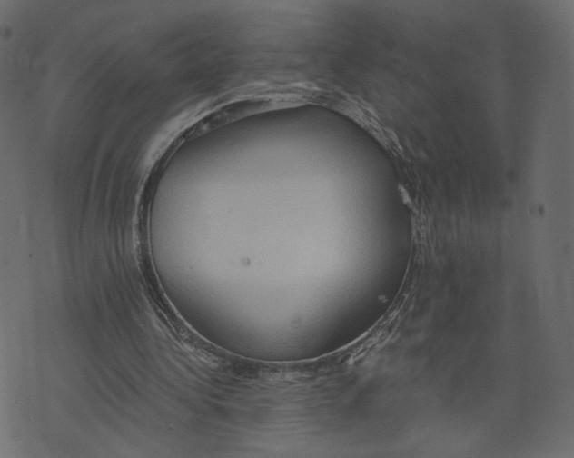 X0000073410340200608251530