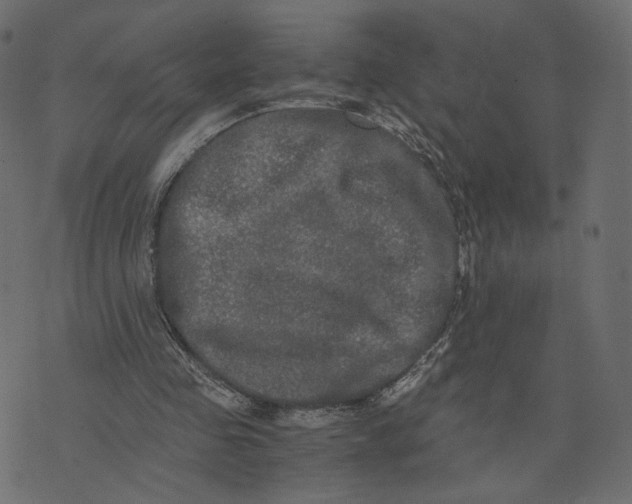 X0000073410341200608251530