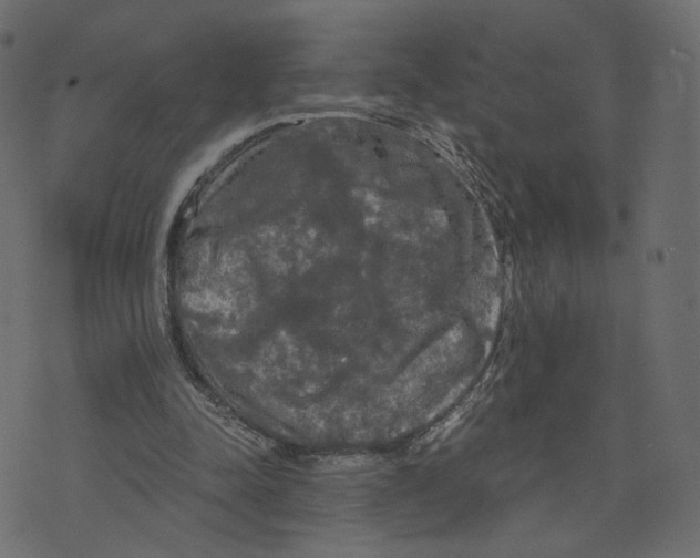 X0000073410342200608251530