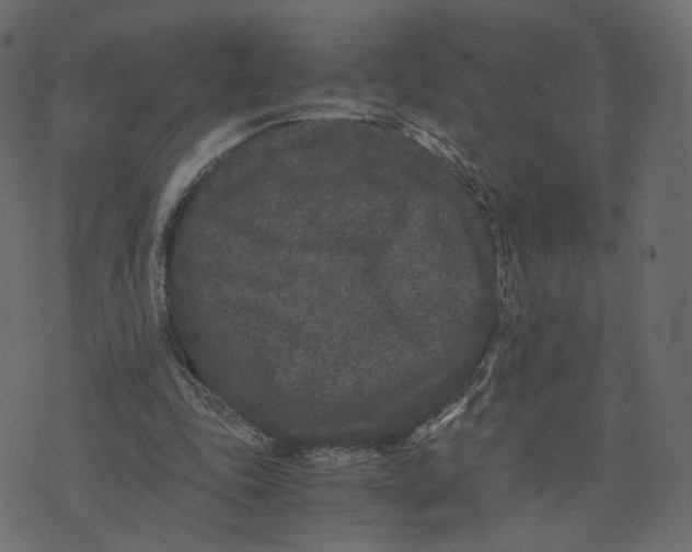 X0000073410343200608251530