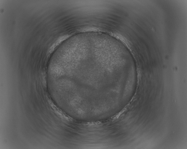 X0000073410345200608251530