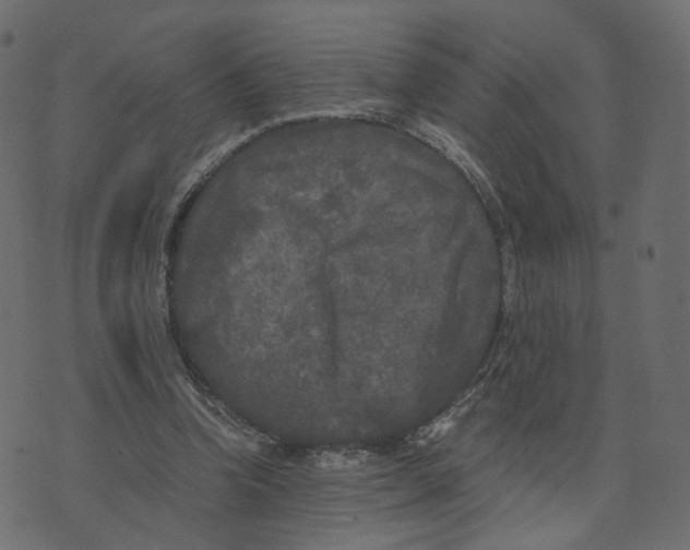 X0000073410346200608251530