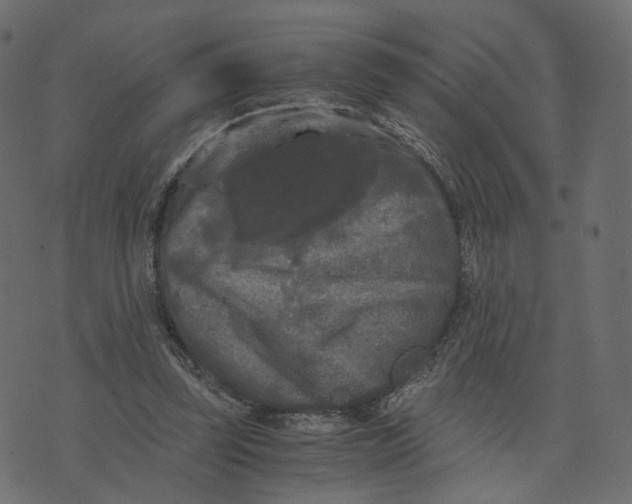 X0000073410347200608251530