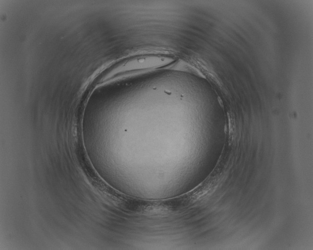 X0000073410348200608251530