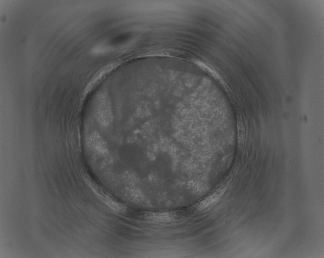 X0000073410349200608251530