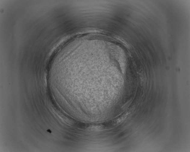 X0000073410350200608251530