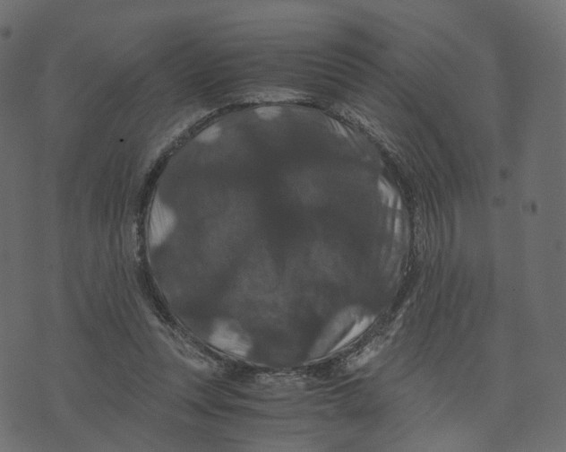 X0000073410351200608251530