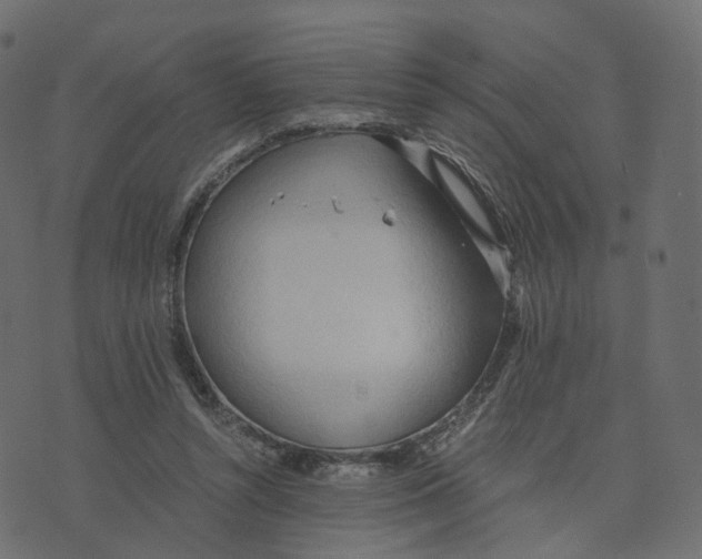 X0000073410352200608251531