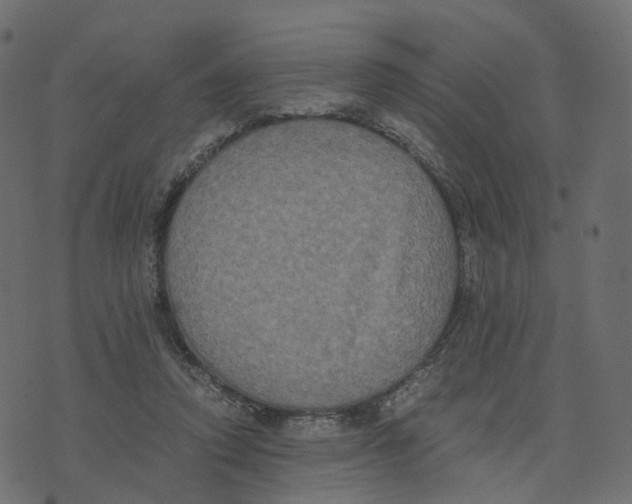 X0000073410354200608251531