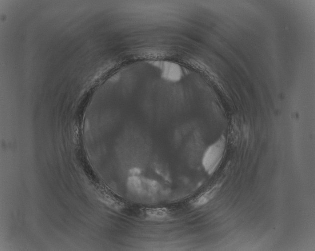 X0000073410355200608251531